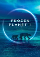 Frozen Planet II izle