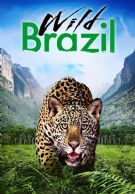 Wild Brazil izle
